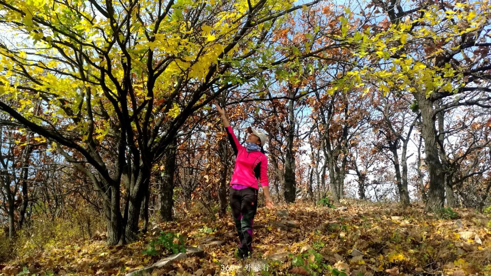 xoUvjmB-hrtCzzbyizkF27MJvLXp95jCBT7MMmo-3oEDw9P8STVtrnPID6D10ZFv