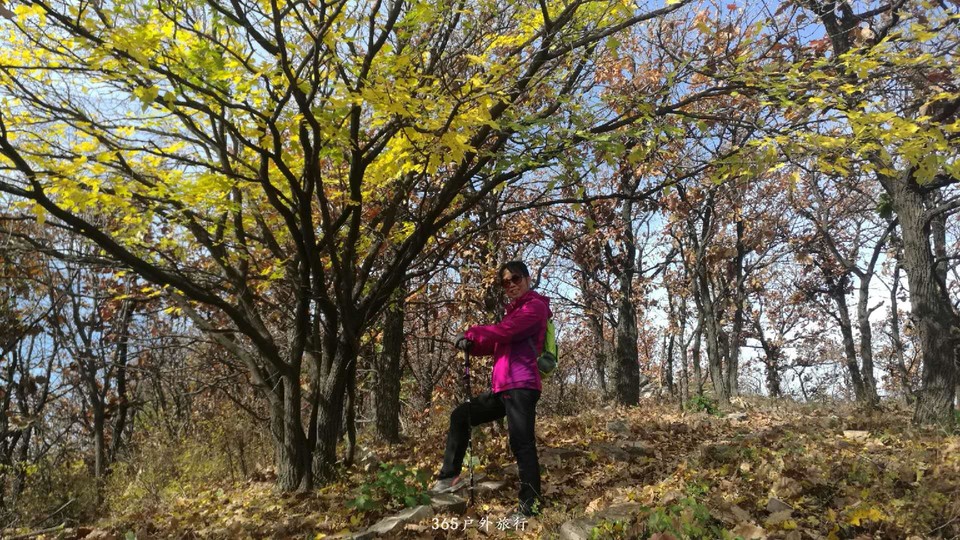 fQm1RX7CwG1tq7QDCJJh03Z3g-MFggGG_SlNPB8rjzxFETLZ85GXfhVXpIFdmzIu