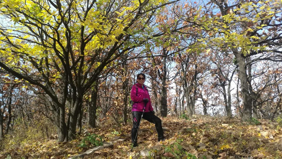 kwr6CkBgQQF7EcS7Bt4ZxjHuXlaslnt2AwWvzPo0Ahax259A4maXyQDjpPYnYPd_