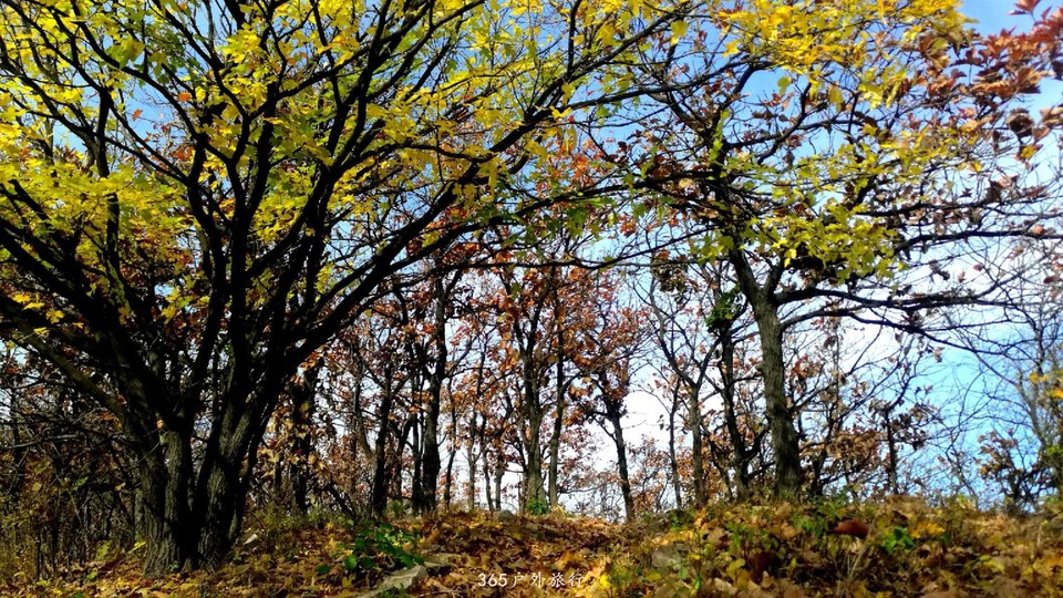 dEwWEj6hVi41XqkISvAHkJvj4LwUxznZzS-Zxc3MDXvkcoQKw8sNWxycFyDulLCv