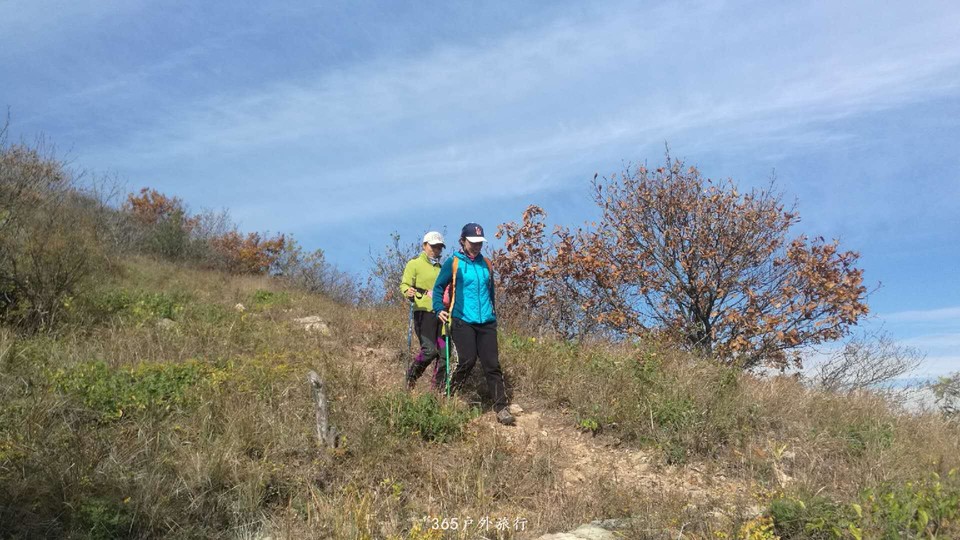 L-UC1K_eip88Ctn4FtgYJhPvp3B-H04XHxVFS-mnzjU4lqdY3WB5lCPTVcoKckxf