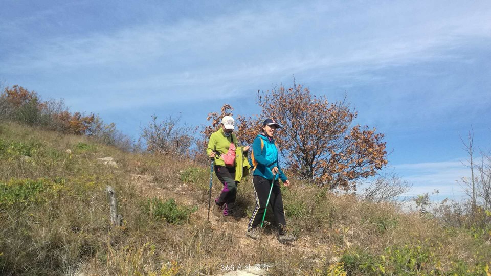 uOSC72j6pzCJwWx88iNYqa2BcctbRNQYIWZ27jUwTNVbP0YcINHAbMF6ZaoEXars