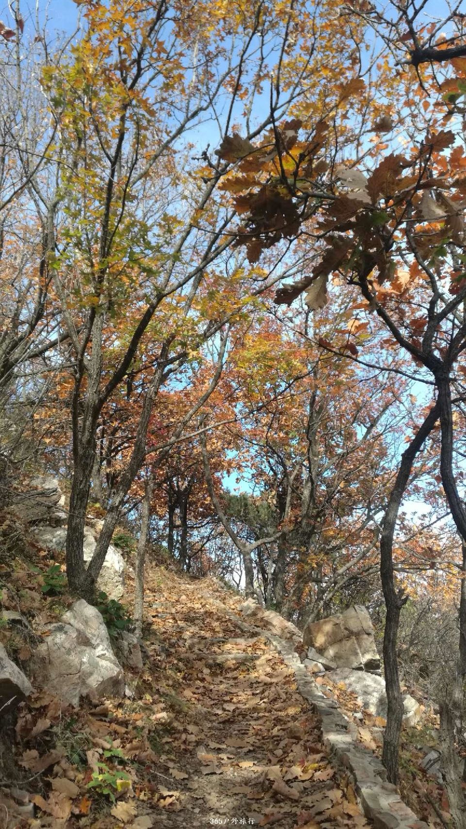 Ww02dUV7Xm1P_rWaUzYcVAvCQ9Dt7MyoYDk0aujaw2phnNp9JvKdyROU2_dr6XkU