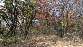 NDUMTERqA4_XW37TrAiKYBLvf-tmJMLYbwLxW85E0mfk-LbIQvlWDHdxFPn0SVVg