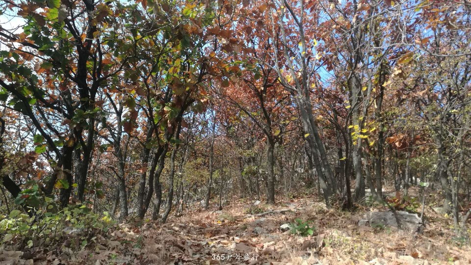 NDUMTERqA4_XW37TrAiKYBLvf-tmJMLYbwLxW85E0mfk-LbIQvlWDHdxFPn0SVVg