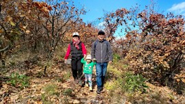 -yi1Vtyh_Yu2WNw13L3LugZbKbL2vsDwgpyUDLHOEBQAGxFTRRxm2aJSYfVlcioy