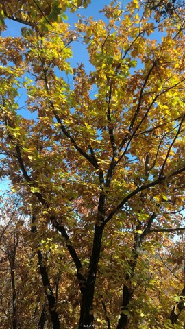 qpsY7dvrk3oe8pwm1GMvI7UFm53KpymETkGbF48VClcLLuZh6kxkAU74RTeY_LJp