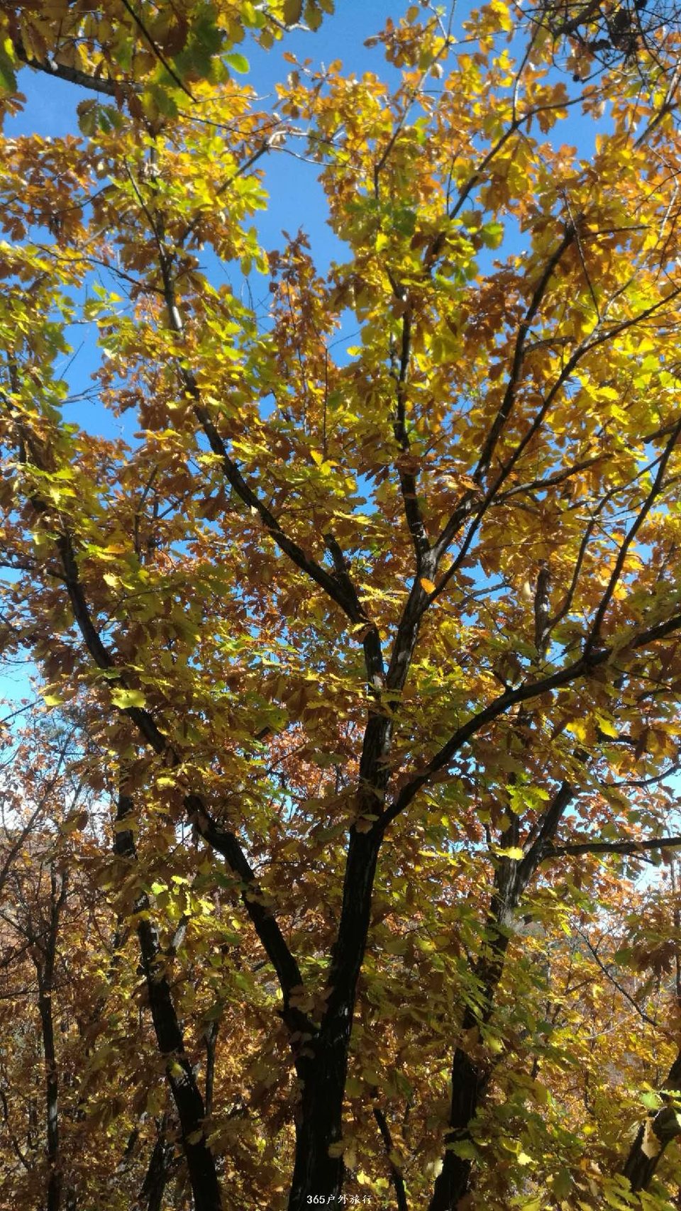 qpsY7dvrk3oe8pwm1GMvI7UFm53KpymETkGbF48VClcLLuZh6kxkAU74RTeY_LJp