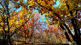 9vAbx9lNXynUXxb4M4i93mD76bg-VOcY8RuABPRUbW0KEBm9thMv39r-dJe4MZP_