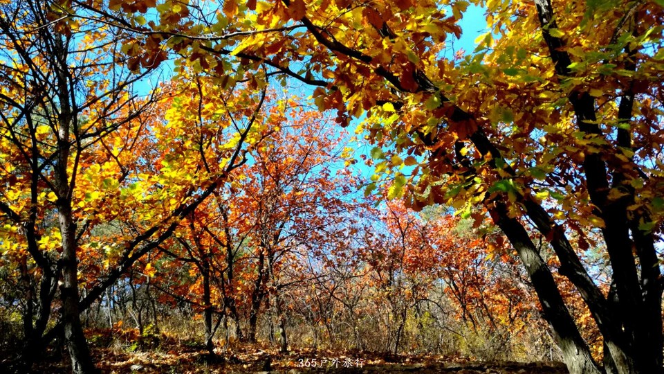 9vAbx9lNXynUXxb4M4i93mD76bg-VOcY8RuABPRUbW0KEBm9thMv39r-dJe4MZP_