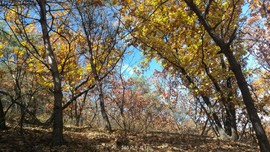 otP6fF0MMgrnKimipIm3E9QS4jQelmZzlv3jSUeJTV5SXrjRHdgkRalMghLkNsFx