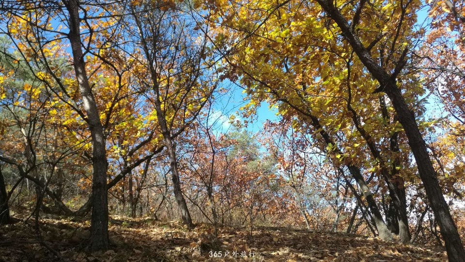 otP6fF0MMgrnKimipIm3E9QS4jQelmZzlv3jSUeJTV5SXrjRHdgkRalMghLkNsFx