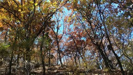 l42UN0kI4GrfzGx3f5YAC3WKCanUbmfy86WoCfintwJFReJ0tSgyAIbV-ALxiZC1