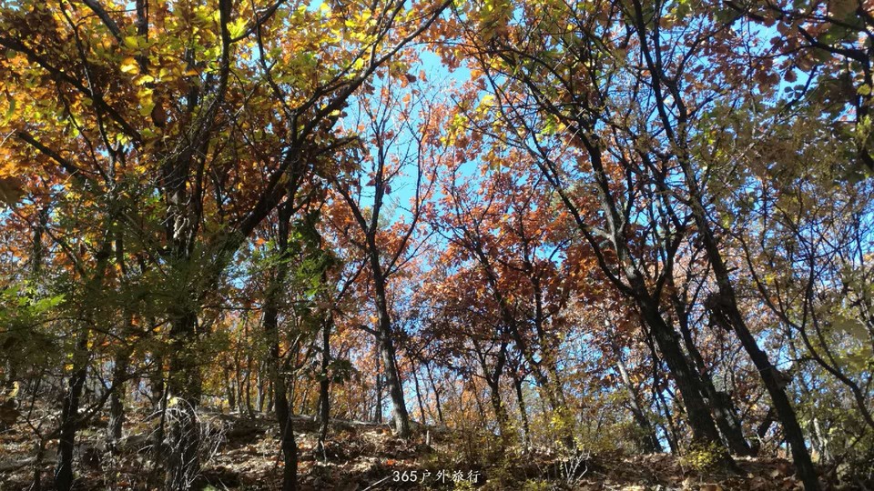 l42UN0kI4GrfzGx3f5YAC3WKCanUbmfy86WoCfintwJFReJ0tSgyAIbV-ALxiZC1