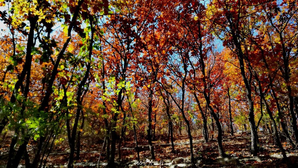 G0-ANuLkb3a-6lmuZJGy4FxGrF-fUXHypP2bemmsiTpzzEiz-SvFmfi7I3_0ph2i