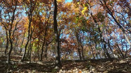 _U8KvSGddjvegX3y4B3xNYy0F5zC6bDqR9YcDEhYjaNCYS32KtO94Vo8tbZXIxeH