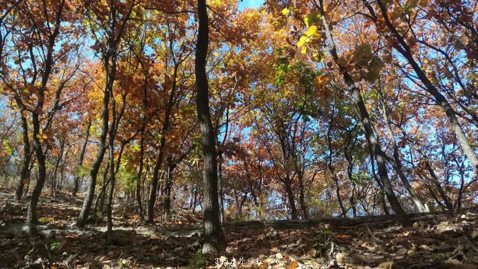 _U8KvSGddjvegX3y4B3xNYy0F5zC6bDqR9YcDEhYjaNCYS32KtO94Vo8tbZXIxeH