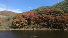 gfO-4fQOPzvK8Og50dhcH7W1KnhxlEuT70nJ1ABEd8TdgefVyhfSNKOl2Qdz8yxm