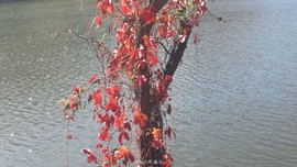 fMqzVXL-Qmlh8mKYnHxO1Sa81Rw__2i-RVBKf76prk9f-D2utg0sHioPwLTCU58Q