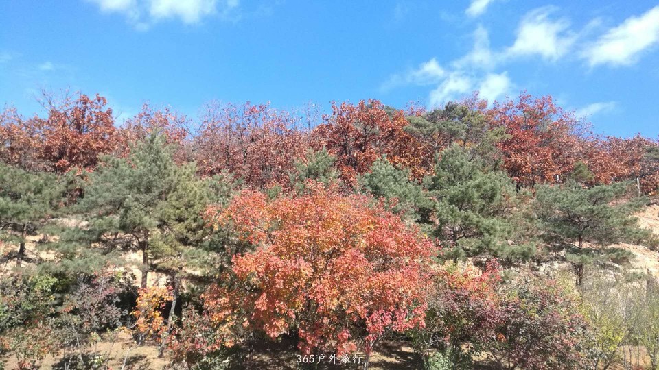 ll2pHtoNndajSX_GDAkMI2WDOwta9N_zLs9PzdtP9FwaGEKAEeYs76jsAWDjZa8_