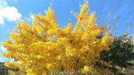 US3w-Uj0QqaLGOvEHHs_rJ3EvsziQW-riFxRfEByI-wt6GJUxvokAuGwhwYw0JuX