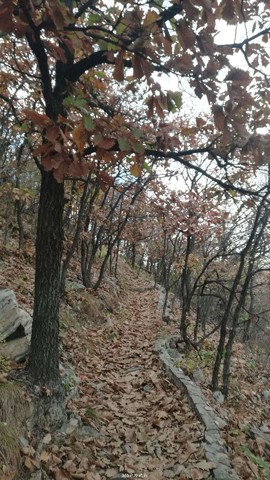 _0-PVz284sG24b5vEttfhugP65lZFXAI8XlyMhg21pqwy6tl8JLp8J42W8W6rJ-7