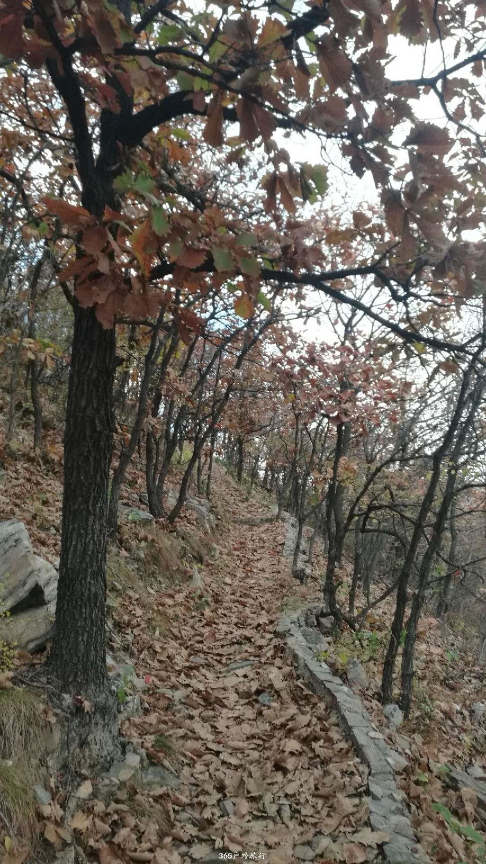 _0-PVz284sG24b5vEttfhugP65lZFXAI8XlyMhg21pqwy6tl8JLp8J42W8W6rJ-7