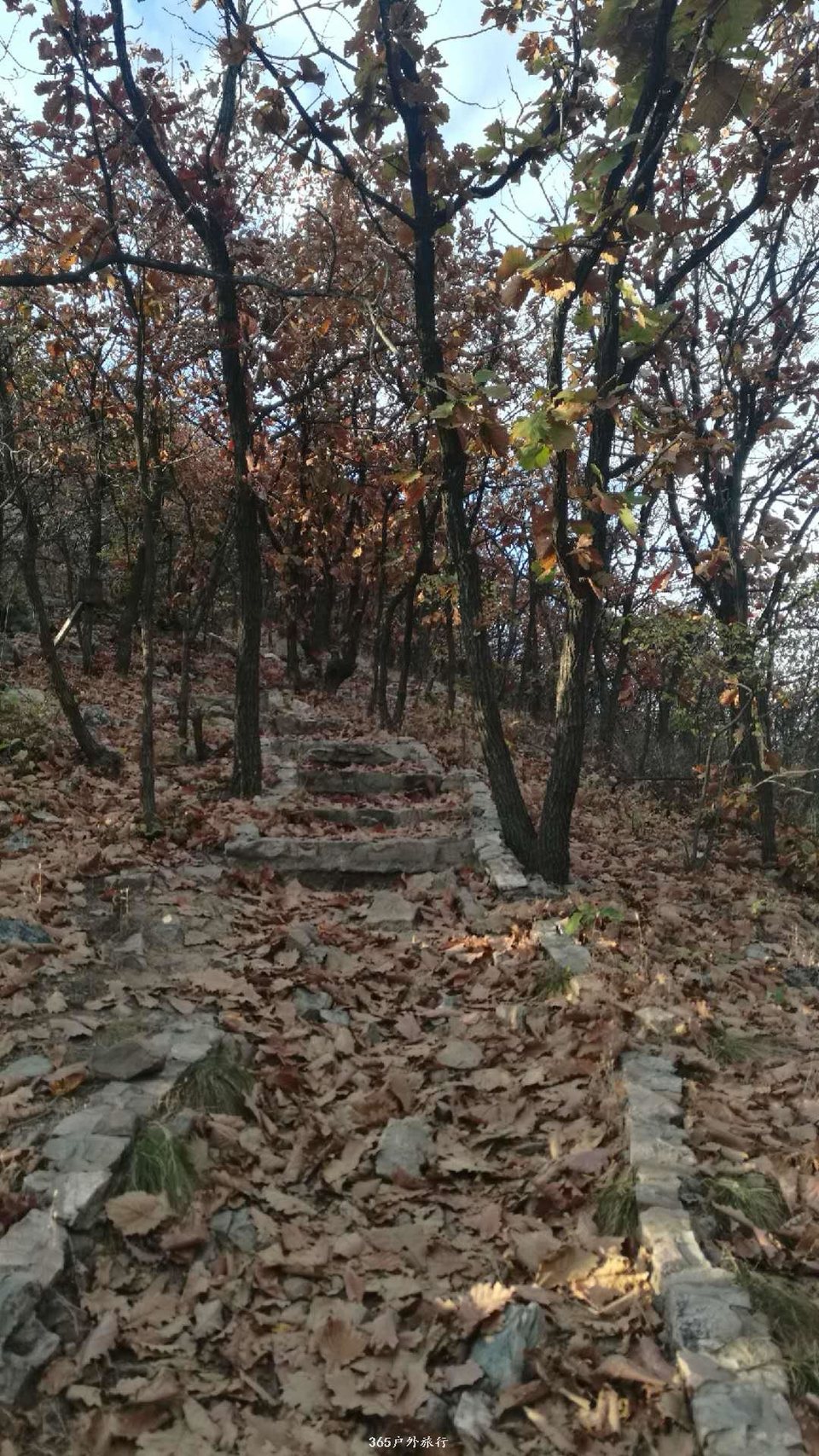 poWOKwBXly3MGIistoKOSZDm1S-qMArMkMgF6Q7QsENLKQFdPkYmFRtINve8z2Hc