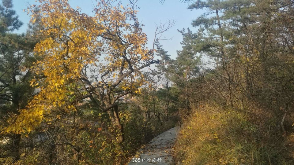 du2eA4isw3bP8XpZ6ZRiSoIw9BZTo8G8mv0fk2MhqgRIqRtkTCNXl1WYBtVjqbjw