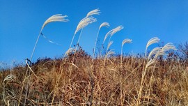 wveYSrhB3fpczJYMdpw5mZ1b5w559HYO9kSpHPAQAPDC1RLV8V2HqmVnKk0OT51Q