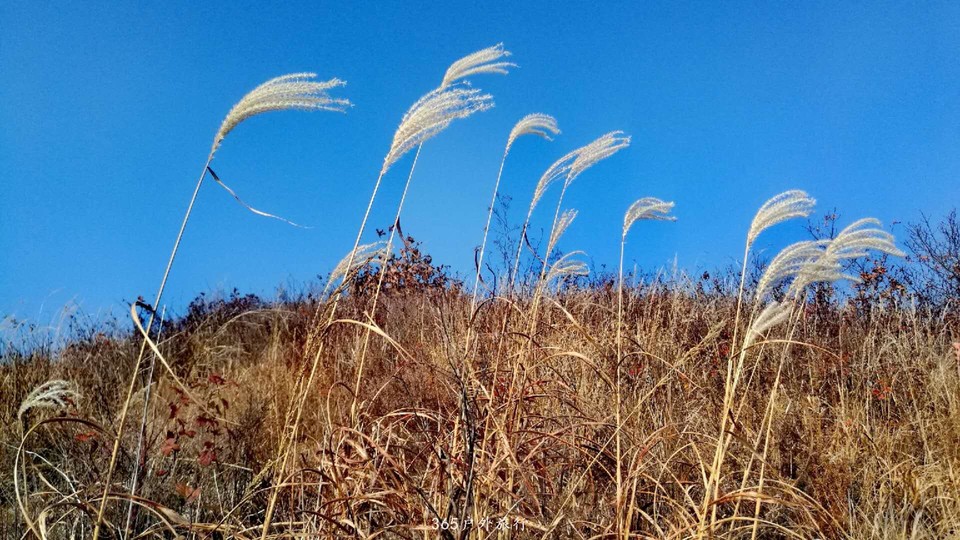 wveYSrhB3fpczJYMdpw5mZ1b5w559HYO9kSpHPAQAPDC1RLV8V2HqmVnKk0OT51Q