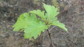 0PNt4D4H1GXtnkXogtobKnZrK8On6a4d_J4nJAx6y9wlPwEP7uhHHplIIicToKZR