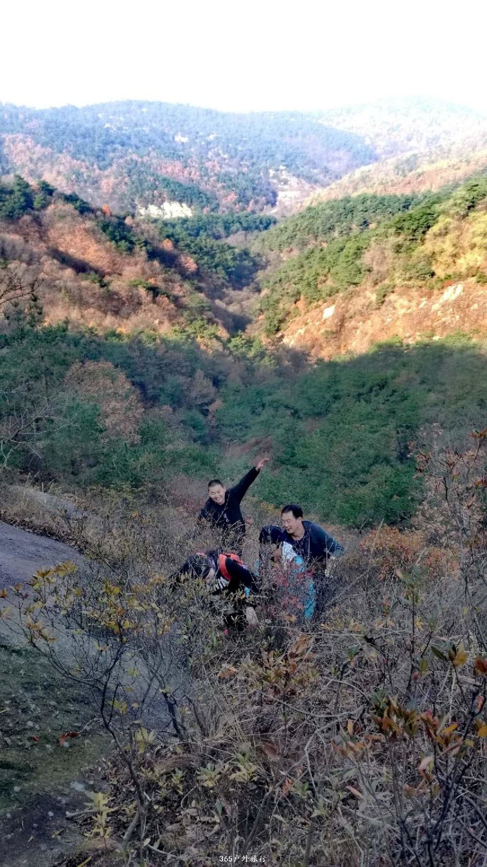 Hy8x_X13NU7BjRD3sPLjEBJS0Qllop55hobz-QAVFbCpUQSCkidKTGH9G0waKiuF