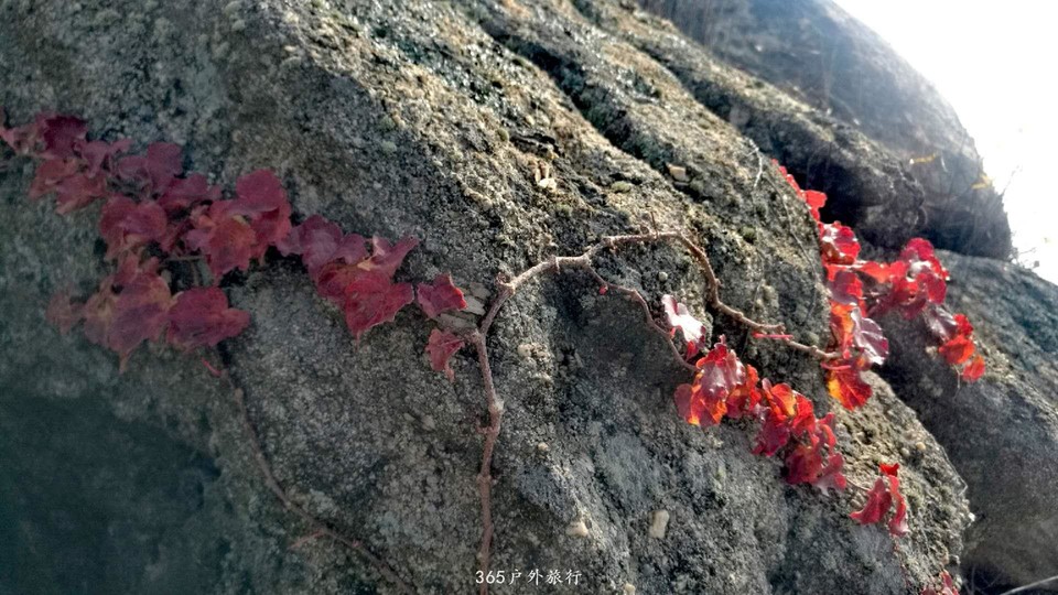 jYnf5Q8t_ejlTNmQ3ekIPGxD3C22hxVjnhJhiU1IjztIsQoR5vg_GKRsGpDuOTAa