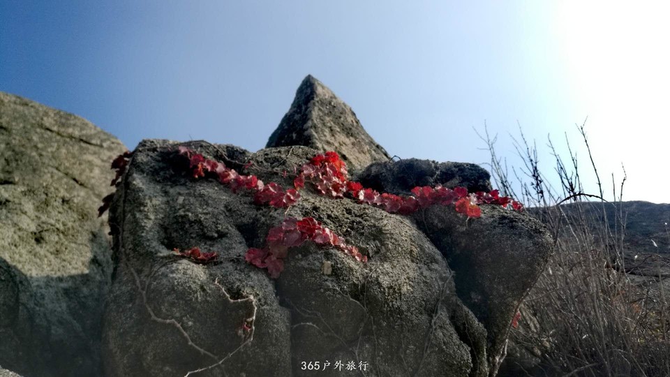 N-ckRF9lW5DJZHdrNjndTeY9tKz1E1QVs79c7rXwrULK-VPfgcFiSs_OS76BZMgU