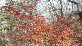 phPbXKUNeNMqwRciYRaVIGWaHgMc0oP1yI04RHtT4_ipE65crMadmFp6JJFPF63Y