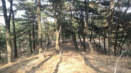 AZAgPJrhUBBVQ_aIzp69tYRSYhV9gQaHQ2-RMIBQ203Vvr2tLMqDszeqc0d_QcdH