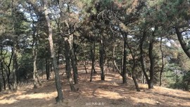 fAhfL7TJe8oQMKsepkbiiuGyJcYRUBETzAhcJzVNtVF8Zq2FYJWF3_EWNDJvOI74