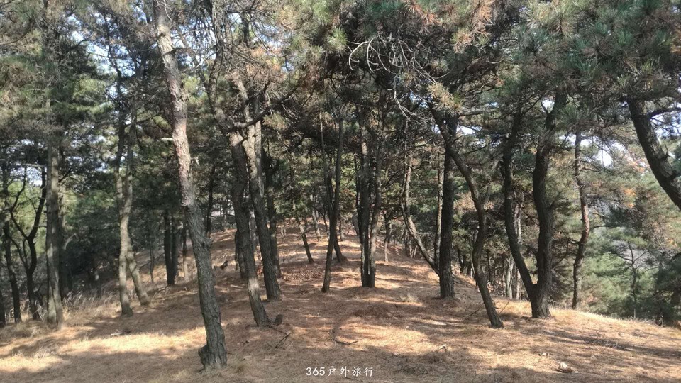 fAhfL7TJe8oQMKsepkbiiuGyJcYRUBETzAhcJzVNtVF8Zq2FYJWF3_EWNDJvOI74