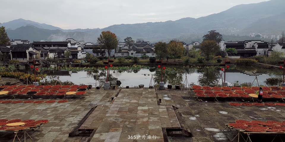 fEcrdj0-X5aqfI-VDNl1ubp5qarFMQKBNjqy5CwYSthlrNASIVZMjmIoGL_yjRX0