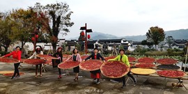 o5Gn54Az62ghku1GHd1aXLhNhCXvYjiWqCnZmpOlYDYXe0BVYUqN2WkWFLf8HfX6