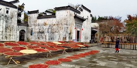 mTey88eHxtJ2zEcBiQTIuXyW8DL7XZRaqlldRP5MdwD8TdUr1q569jFY0xvmv7du