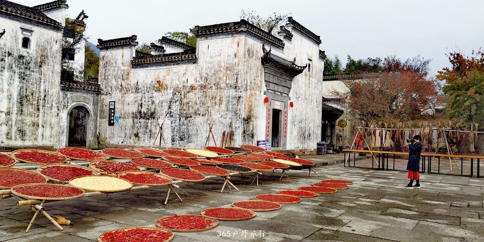 mTey88eHxtJ2zEcBiQTIuXyW8DL7XZRaqlldRP5MdwD8TdUr1q569jFY0xvmv7du