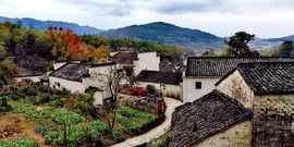 kzQS1yk95jhPaMGW9VM13RtMcoHM2S2q-HyS6Fuxz4tKhxVv03VpuwyV70g73vYn