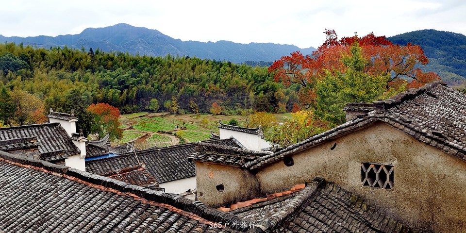 EYqdID3Pn7y2PhpuuEEmv6CYbFSqMr41mjC59EtJjiDYoL0VF7lL9v_UbWO4nPyx