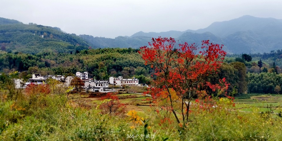 LYm0PMK9pQR5clvZSPkNUBODsj58ZpJ8Gxk0eWp3YdmkL-3uNlXvayHRN3yiwmBG