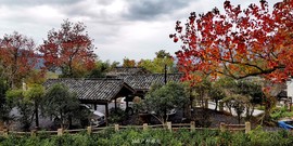 J2NJHacXAs5LB1ZdNyvFjRsiN0uiiEHEFgB1hrodrrnXnS3yc4UVT1S3Xs2r-4q8