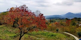 hPetg6KMtUzJUn7gVMuzSUTkNLI3NgIO_KpXTVWFV72vcEjwP5QErLVvYwv3ge1q