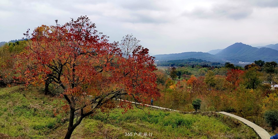 hPetg6KMtUzJUn7gVMuzSUTkNLI3NgIO_KpXTVWFV72vcEjwP5QErLVvYwv3ge1q