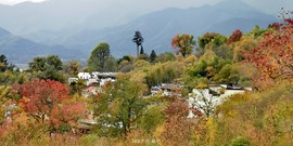 WBLAgWnlPf-jm0mLlnhEc8n6nlpO5GOL6aVWohEFoiLiTu_9pU45HXJSf_y43Jde